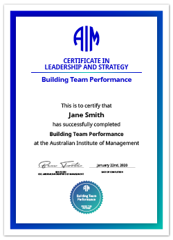 AIM Digital Certificate Building Team Performance