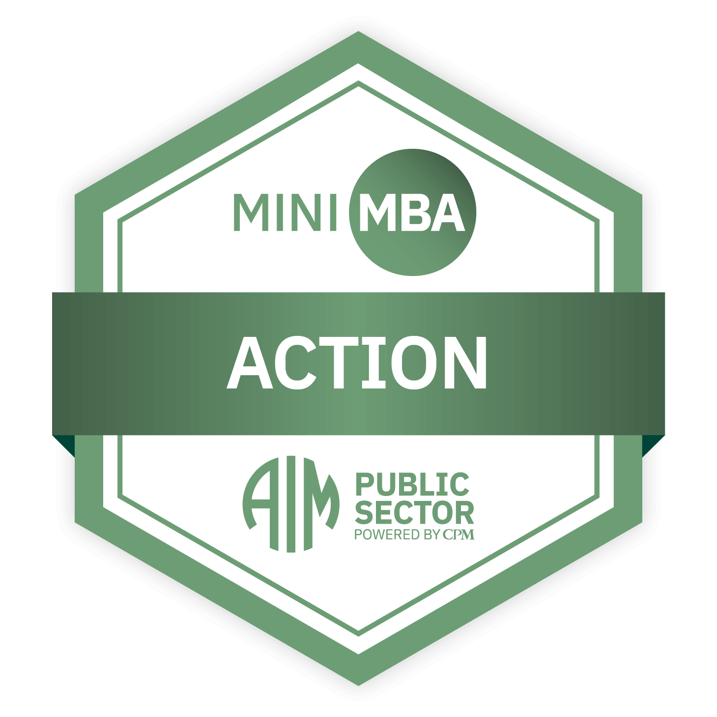 AIM Mini MBA Action