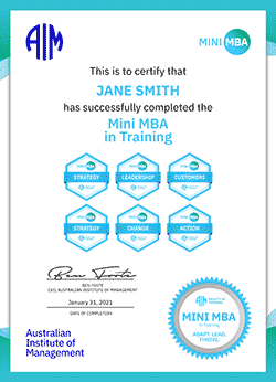 AIM Mini MBA in Training