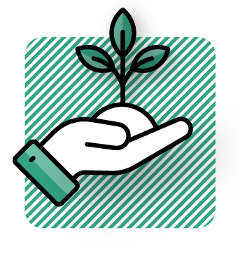 Learn every day and grow together - illustration of a hand holding a sapling