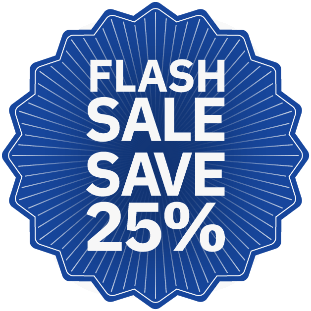 Mini MBA Flash Sale - Save 25%