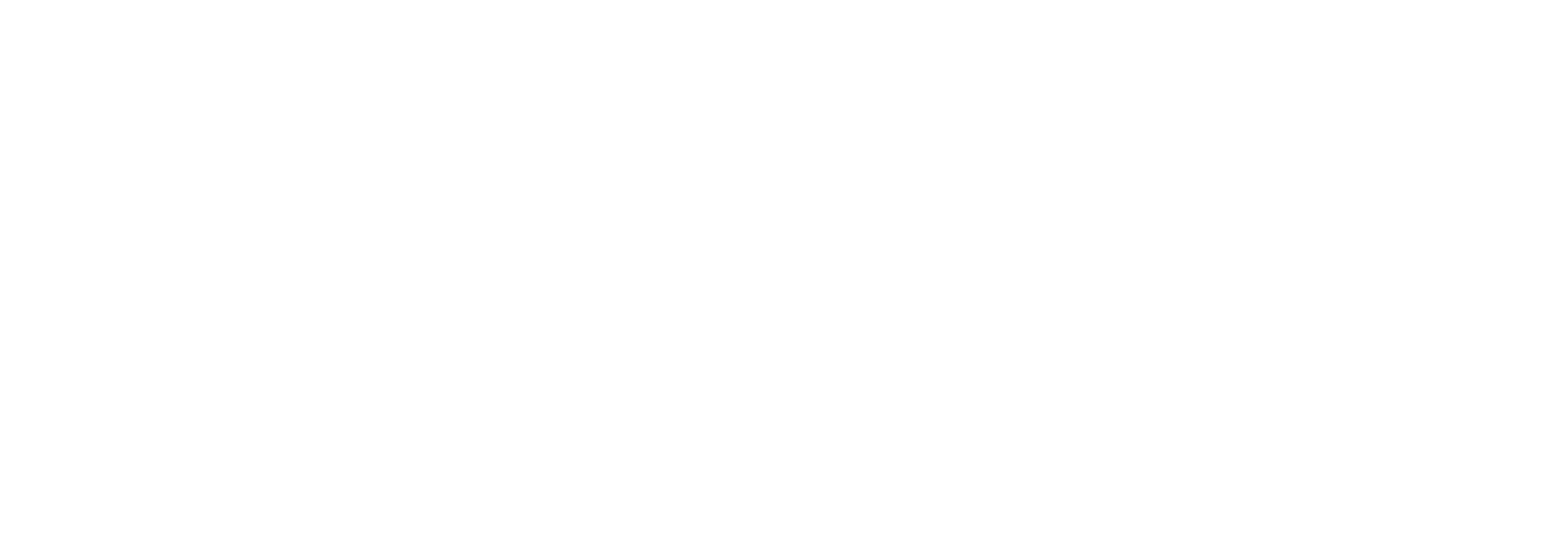 AIM Zeize The Future