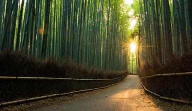 Stepping up the transition to leadership