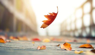 AIM Blog - Why effective leaders use the power of silence